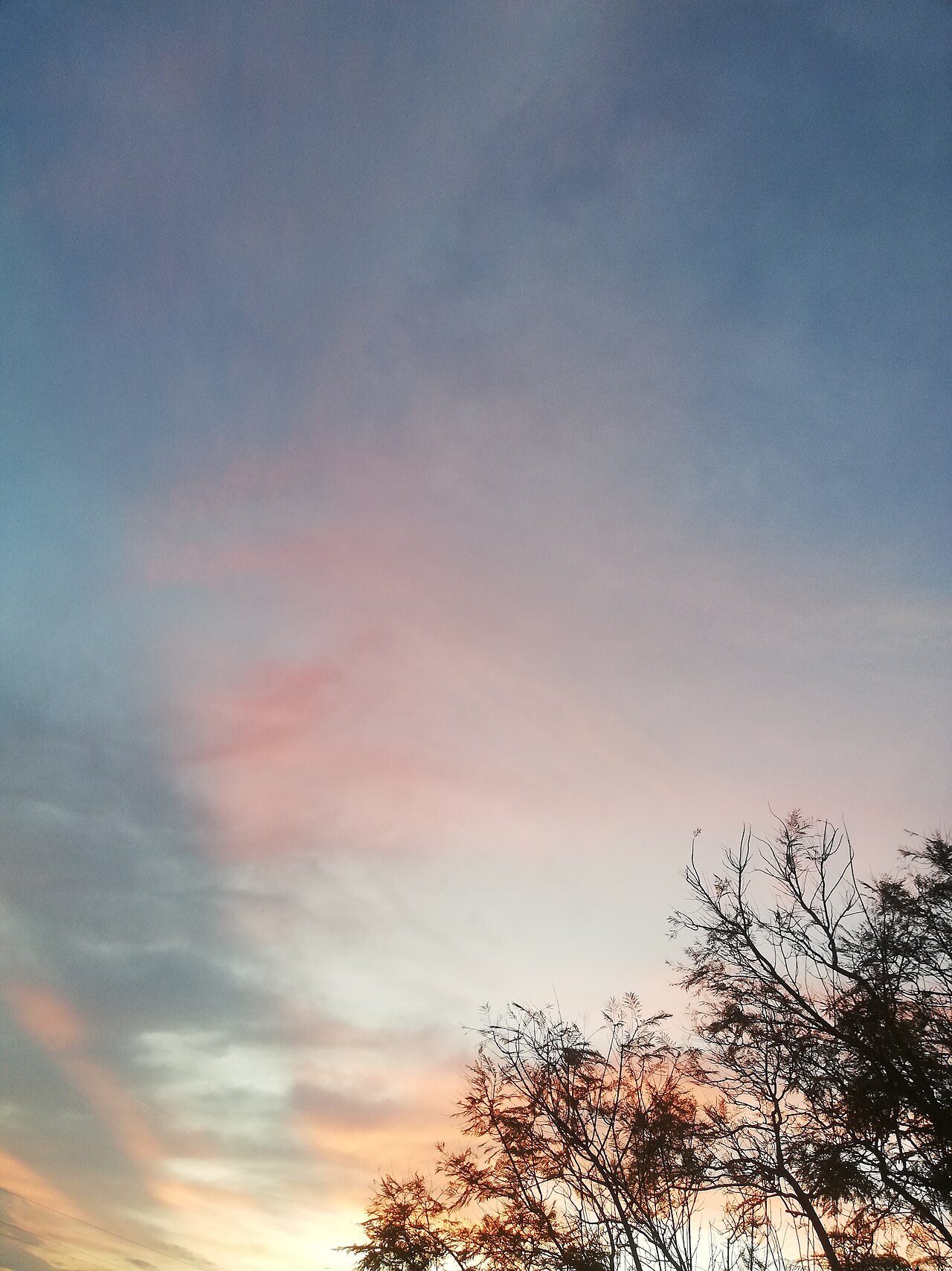Fotografi av en himmel.